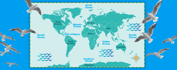 birds flying in front of a map of the world&apos;s oceans