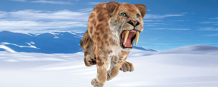 illustration of a saber toothed tiger