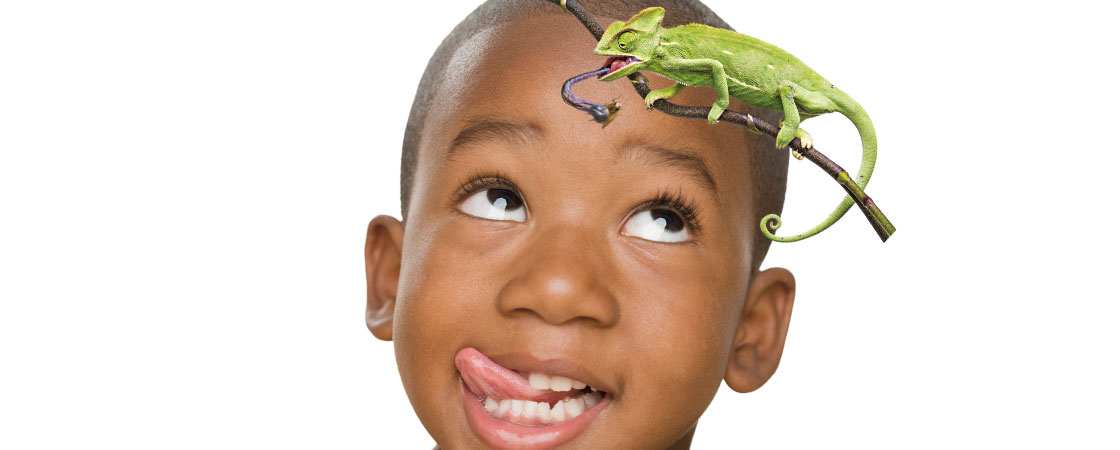 A boy with his tongue sticking out and a chameleon crawling on a branch