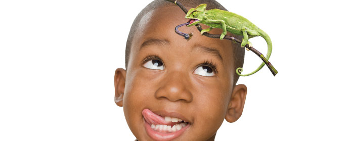 A boy with his tongue sticking out and a chameleon crawling on a branch