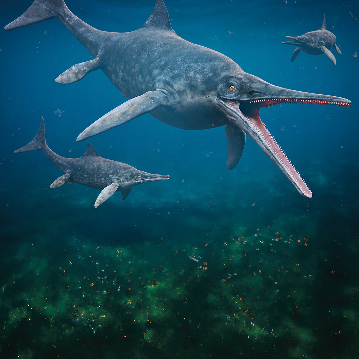 Image of ancient sea creatures swimming underwater