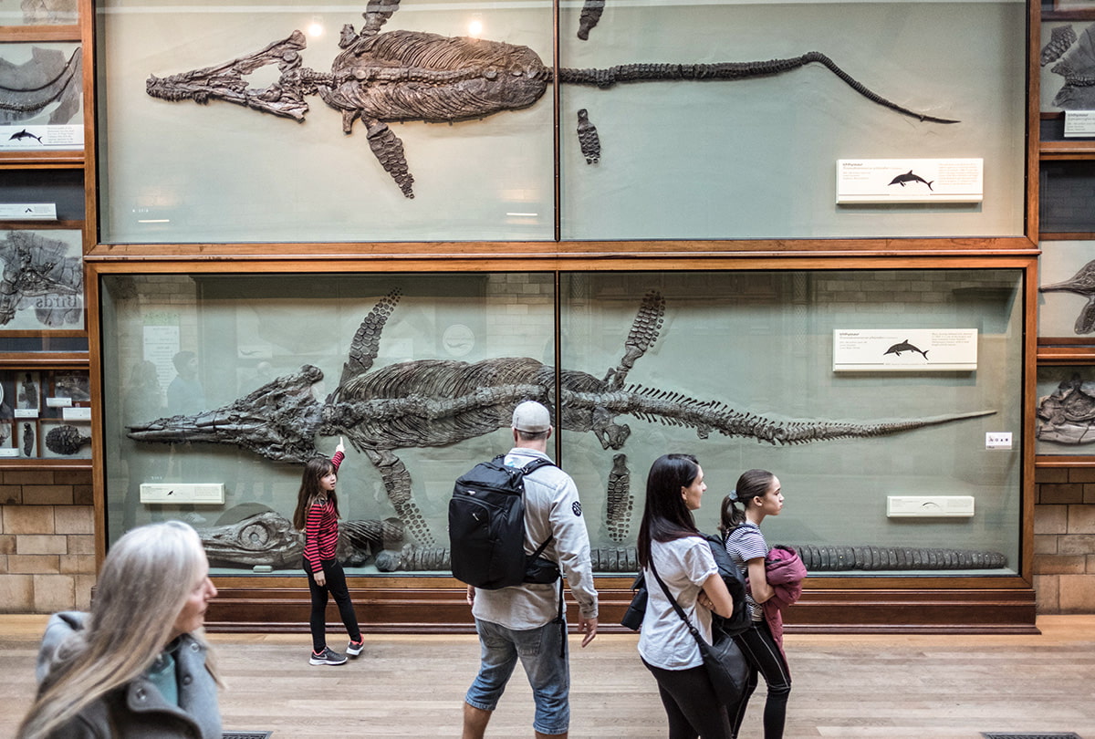 Photo of people observing fossils on display in a museum