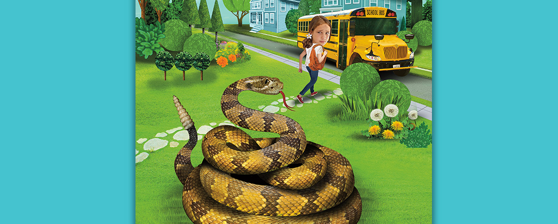 Image of rattlesnake looking at a student getting on the bus